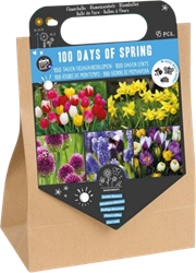 100 Dagen Lente – 45 bloembollen
