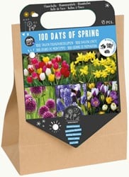 100 Dagen Lente – 45 bloembollen