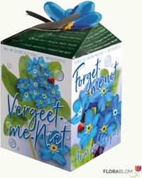 Vergeet-me-niet Greengift