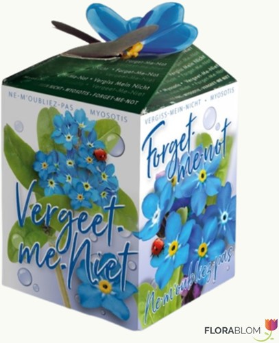 Vergeet-me-niet Greengift