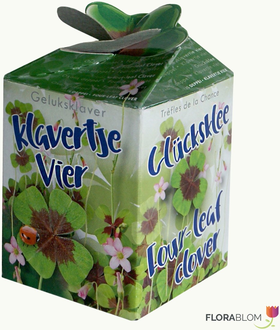 Vind klavertje vier op - april 2026