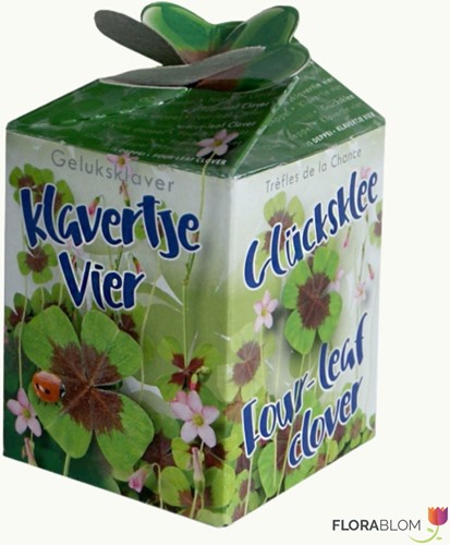Klavertje-vier Greengift