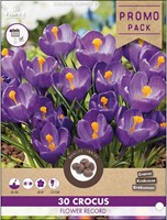 Krokus Flower Record - 30 Crocus (promo pack)-2