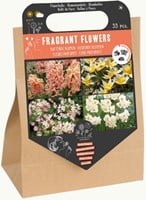Geurende Bloemen Pakket - 33 Bloembollen voor geurende bloemen