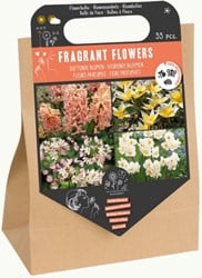 Geurende Bloemen Pakket - 33 Bloembollen voor geurende bloemen