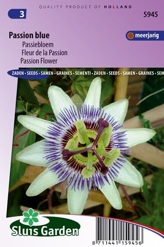 Passiebloem Passion Blue - Passiflora