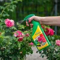 Spruzit-R Insectenbestrijding Gebruiksklaar 750 ml - Ecostyle-2
