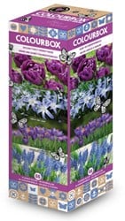Colourbox Blauw - Bloembollen mix