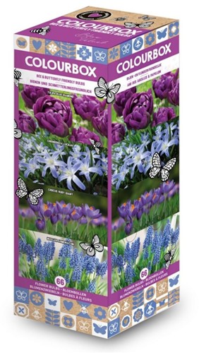 Colourbox Blauw - Bloembollen mix