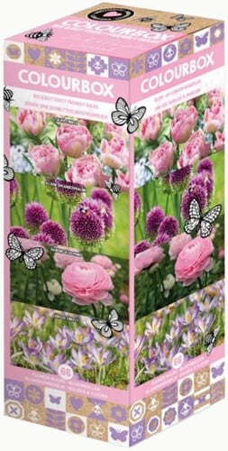 Colourbox Roze en Paars – Bloembollen mix