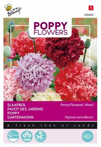 Papaver pioenbloemig gemengd - Poppy Flowers
