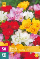 人気激安 Freesia Dubbel Mix kopen? Snelle levering en scherpe prijzen その他