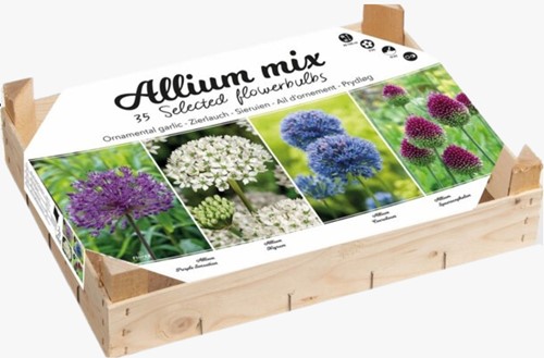 Allium Collectie Box