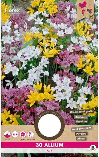 Allium Mix - Sierui