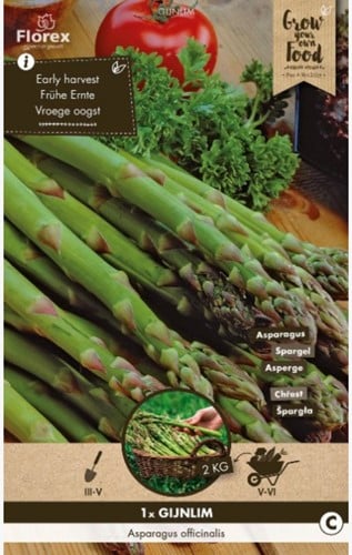 Groene Asperge - Asparagus