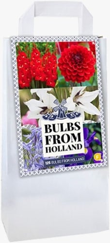 Tasje Delfts Blauw Holland Mix