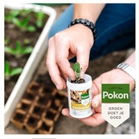 Stekpoeder - Pokon-2