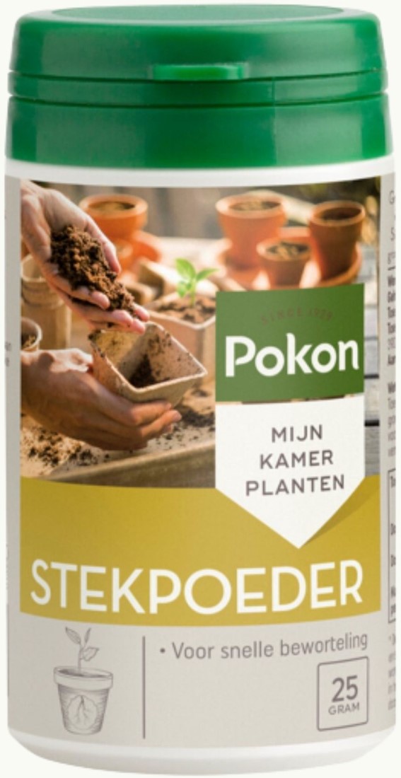 Lavendel stekken: zo doe je dat! (met stappenplan) - Gardeners World