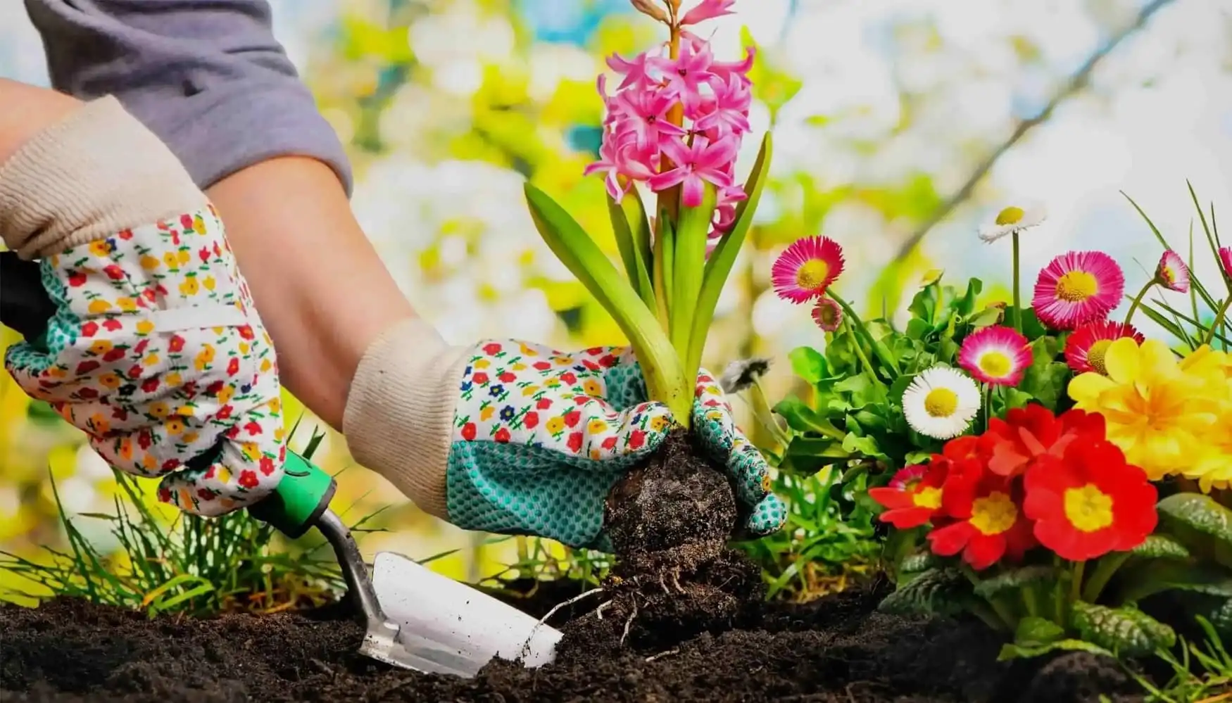 Gartencenter Koeman