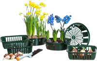 Bollenplantmand 26 cm - Nature-2