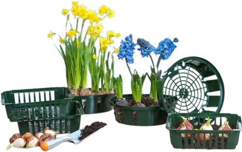 Bollenplantmand 26 cm - Nature-2