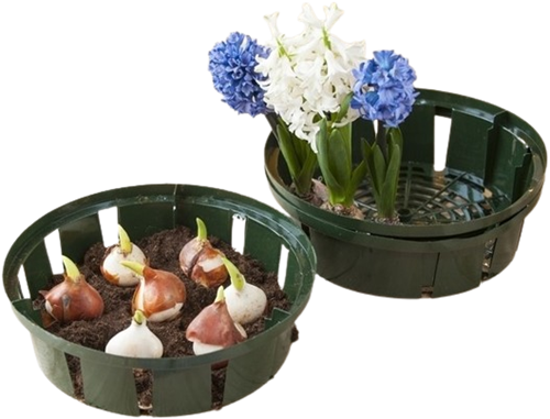 Bollenplantmand 26 cm - Nature