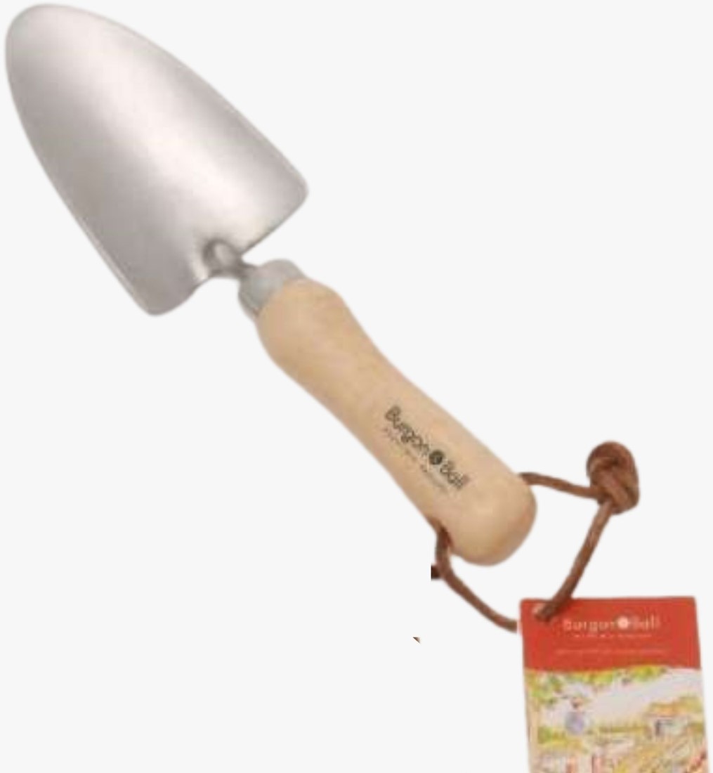 Burgon