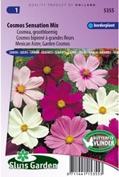 Cosmos Sensation Mixed