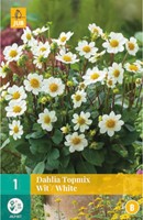 Dahlia Topmix Wit-2