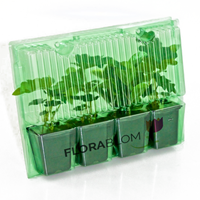 Kruipende Vlambloem Emerald Cushion Blue - Phlox subulata (Sixpack)-1