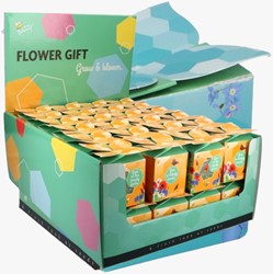 Buzzy Flower Gift (48x) Insecten Bloemen mix (Display 48x)
