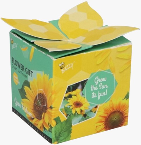 Buzzy flower gift (Display 48x) Zonnebloem Helianthus-2