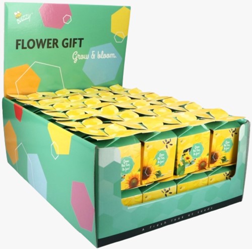 Buzzy Flower Gift Zonnebloem Helianthus. Display met 48 stuks