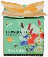 Buzzy Flower Gift (48x) Insecten Bloemen mix (Display 48x)-2