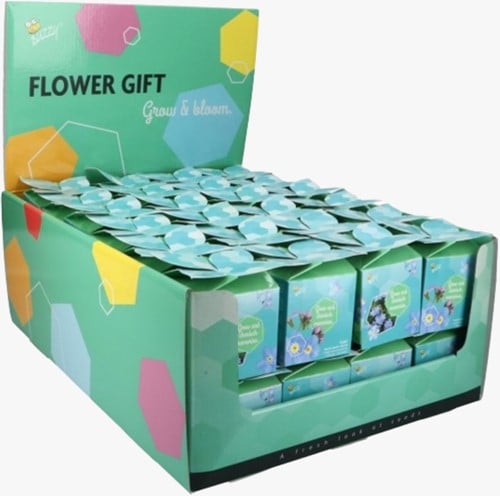 Buzzy Flower Gift Vergeet-me-nietje - Myosotis (1 Doosje)-3