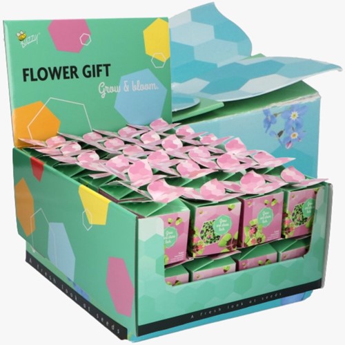 Buzzy Flower Gift (48x) Klavertje Vier Trifolium (Display 48x)