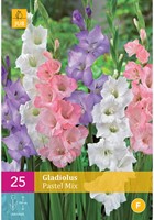 Gladiolen Pastel Mix - Gladiolus-2