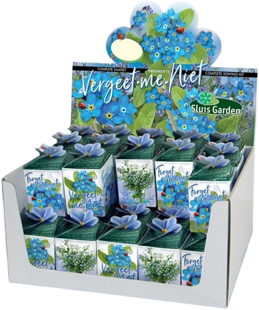 Greengift Vergeet-me-niet 40 stuks in showdoos