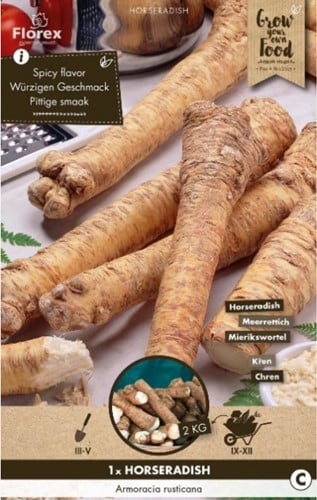 Mierikswortel - Armoracia rusticana