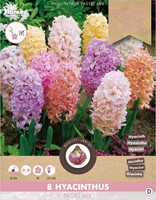 Hyacinten Pastel Mix - Hyacinthus
