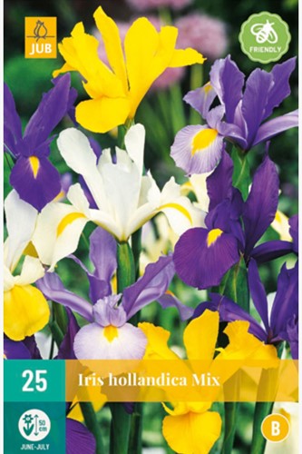 Iris Hollandica Mix-2