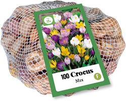 Krokus Grootbloemig Mix - Crocus (XL-verpakking)