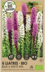 Liatris blue & white mix - Lampenpoetser 100% BIO