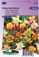 Akelei McKana Giant Hybrids - Aquilegia-2