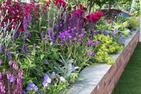 Tuinborder Lang Bloeiende Border Modeste Herwig (33 planten)