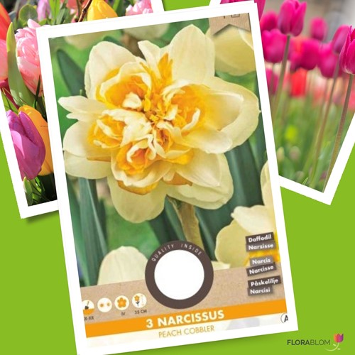 Narcis Peach Cobbler