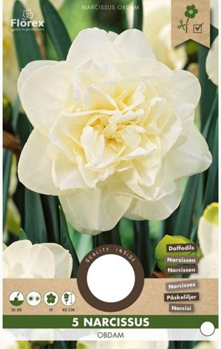 Narcis Obdam