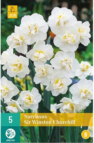 Narcis Sir Winston Churchill