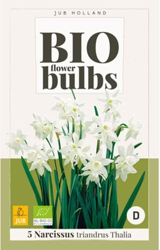 Narcissus Thalia – Narcissen BIO