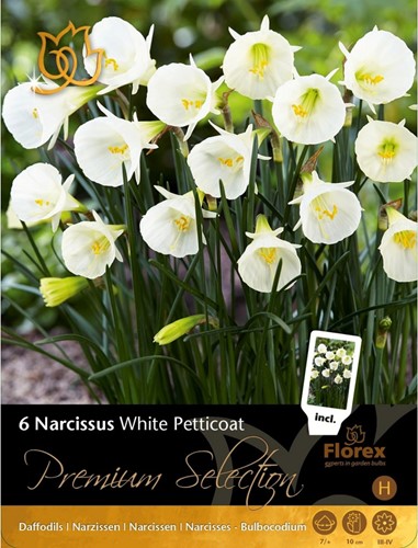 Narcis White Petticoat